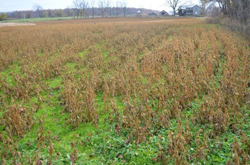 Property photo 2 - 80 Acres & Home - Property Offered in 4 Tracts from 2.3 to 30.0 Acres